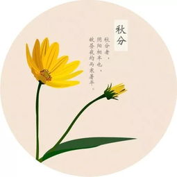 中国24节气是什么?