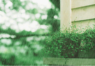 今年什么时候梅雨季节结束，今年梅雨是什么时候