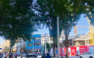 沈阳市有什么好玩的地方?