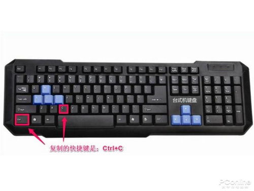 电脑键盘上的标点符号大全