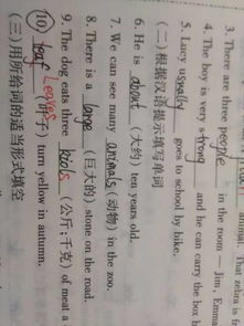 leaf的复数形式 leaf的复数形式是什么