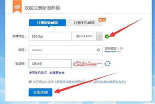 我的电子邮箱在哪里找，我的邮箱号地址