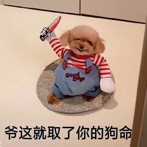 千丝万缕是什么意思，全身无力四肢发软是怎么回事