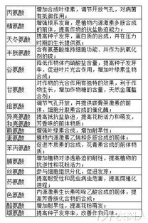 氨基酸的作用和功效