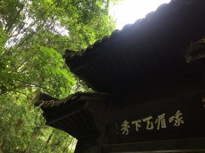 西当太白有鸟道,可以横绝峨眉巅这两句诗意在说明什么