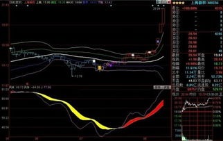 低位大单托盘是什么意思，涨停后大单托盘是什么意思