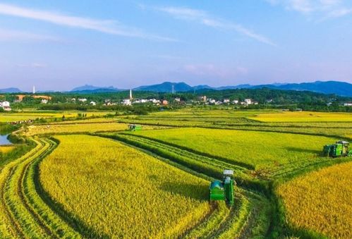 “三农”到底指的是什么?为什么国家这么重视“三农”的相关问题?_百度