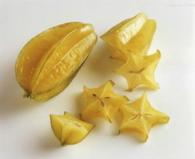 立秋当天吃什么饭，立秋当天吃什么好河北