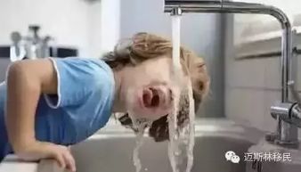 韩国的自来水可以直接喝吗，乡下的自来水可以直接喝吗