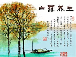 白露养生要义，白露养生注意什么