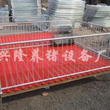 养猪设备厂家批发，养猪设备厂家批发地保温板