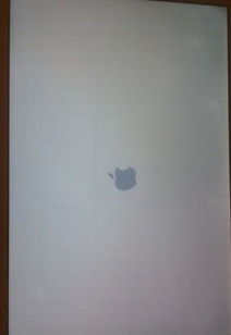 我的苹果MacBook Air开不开机了