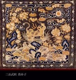 清朝分几品官啊?都是有什么官衔啊?