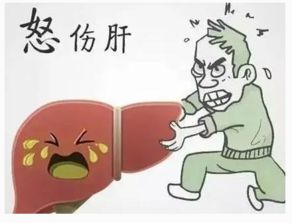 老是生气对身体有什么危害，生气对身体有什么危害中医