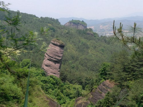 代下面加个山是个么字