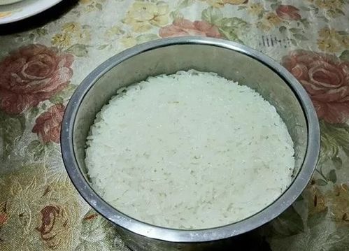 醪糟是什么米做的，牛奶醪糟是什么