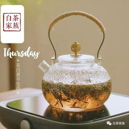 蒸茶是什么茶,怎么做蒸茶