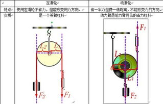 定滑轮和动滑轮实验视频，定滑轮和动滑轮受力分析示意图