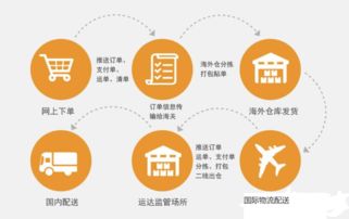 跨境电商是什么专业，环球跨境电商是什么
