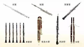 木管组有哪些乐器图片，管乐器有哪些乐器