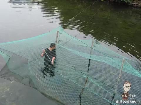 养殖水环境，可以养殖的水生物