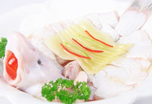 叉尾鮰鱼的营养价值及功效，鮰鱼是什么鱼