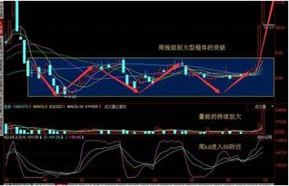 股票交易的过程是什么，股票交易过程中的交易规则