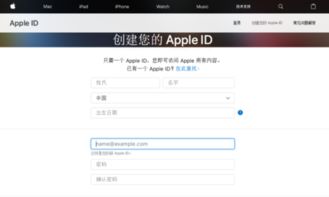 appleid格式是怎样的