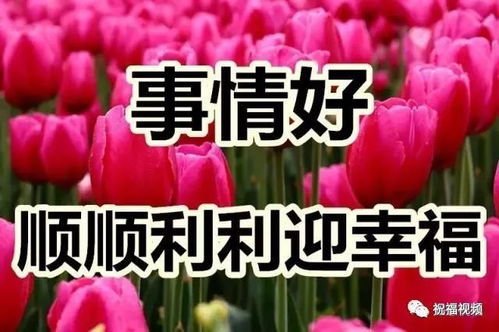 "祝愿这辈子你我"是什么歌里的词