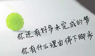 形容默默付出的优美的句子