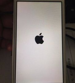 iphone重启快捷键