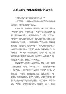 神奇的探险之旅作文500字精选10篇