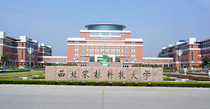 西北农林科技大学在哪里,不在西安吗