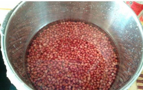 破壁机做红豆沙的做法，电饭锅做红豆沙的做法