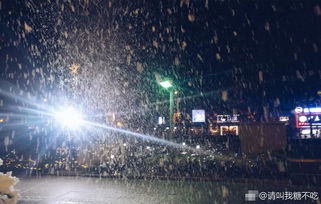 2022年上海40度以上共多少天下雪
