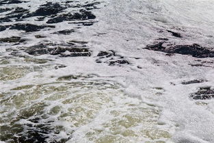 梦见污水横流，梦见污水坑