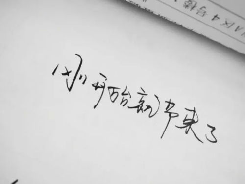 挚爱一般用于什么人?