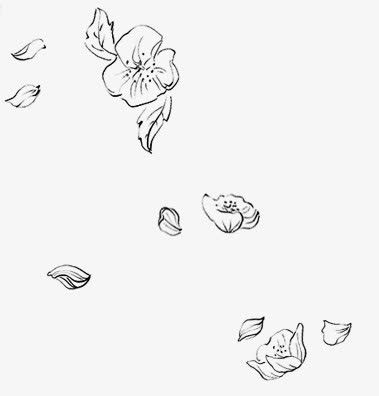 花瓣怎么画