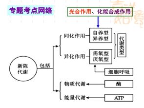 细胞代谢周期一般是多少天?，细胞代谢的条件