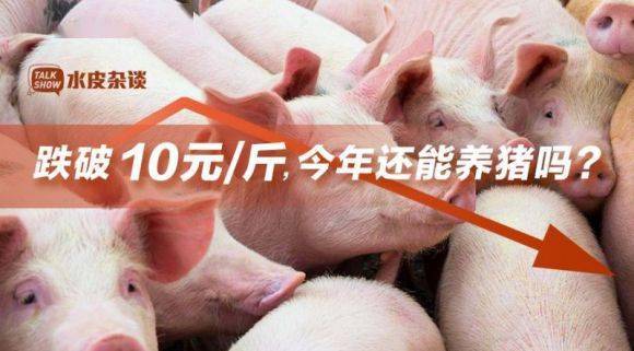 养猪现在赚钱吗?