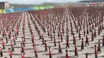 河南塔沟武校怎么样?校风怎么样?真正在里面呆过的朋友说说?