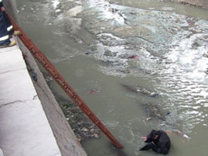 梦见污水满地流是什么意思