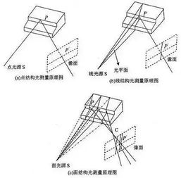夜是什么结构，脚是什么结构