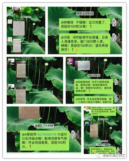 朝看水东流全诗，朝朝看水东流下一句是什么
