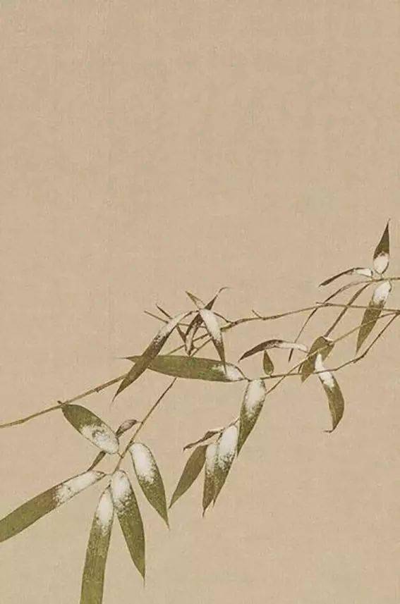 昔我往矣杨柳依依表达的情感是什么，昔我往矣杨柳依依的杨柳