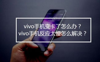 vivo手机卡顿反应慢怎么办