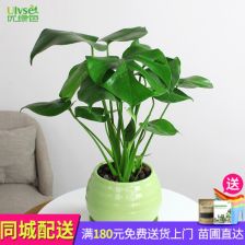 绿瘦怎么样呀?他们的体重管理服务可靠吗?