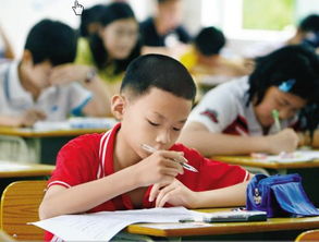 小学教师难考吗现在，小学老师有多难考