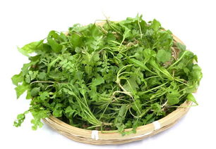 荠菜怎么做好吃