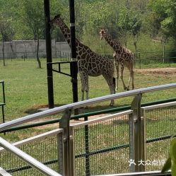 合肥动物园开放时间及门票，合肥动物园电话号码多少